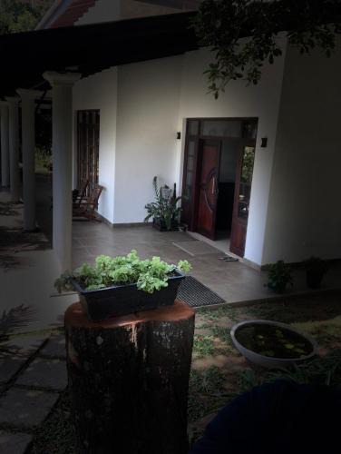 Yatinuwara House | Kandyan Lounge
