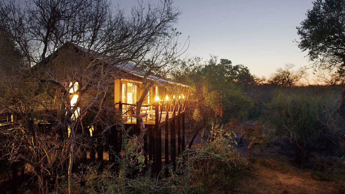 Thorny Bush Game Reserve Other | Kapama Buffalo Camp