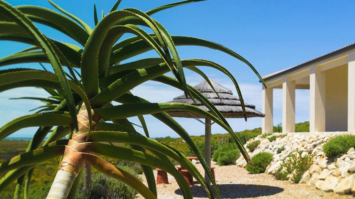 Pringle Bay House | Kapensis Guesthouse