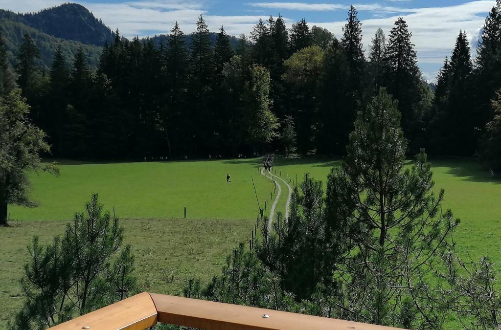 Javorniski Rovt House | Karavanke mountain hut