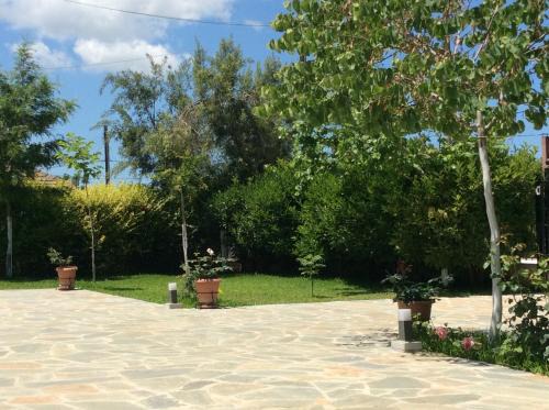 Pineios Apartment | Kardiakafti Village