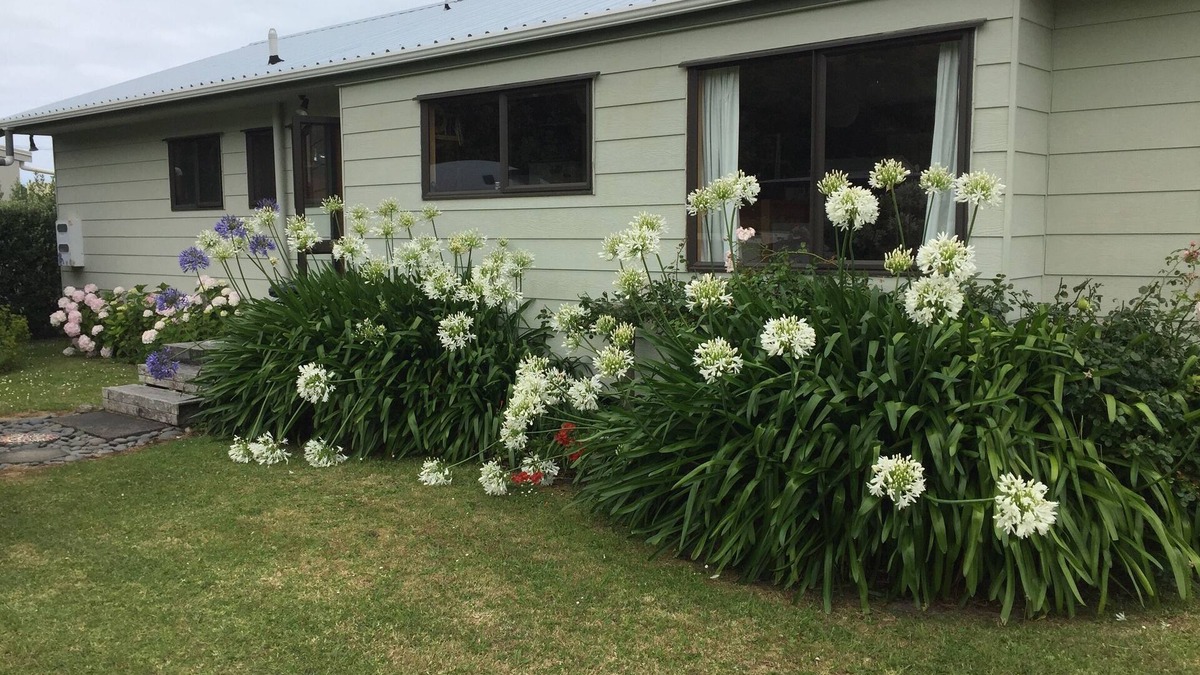 Mahia House | Karo Cottage,Taylors Bay - comfortable and cosy for your next beach holiday.