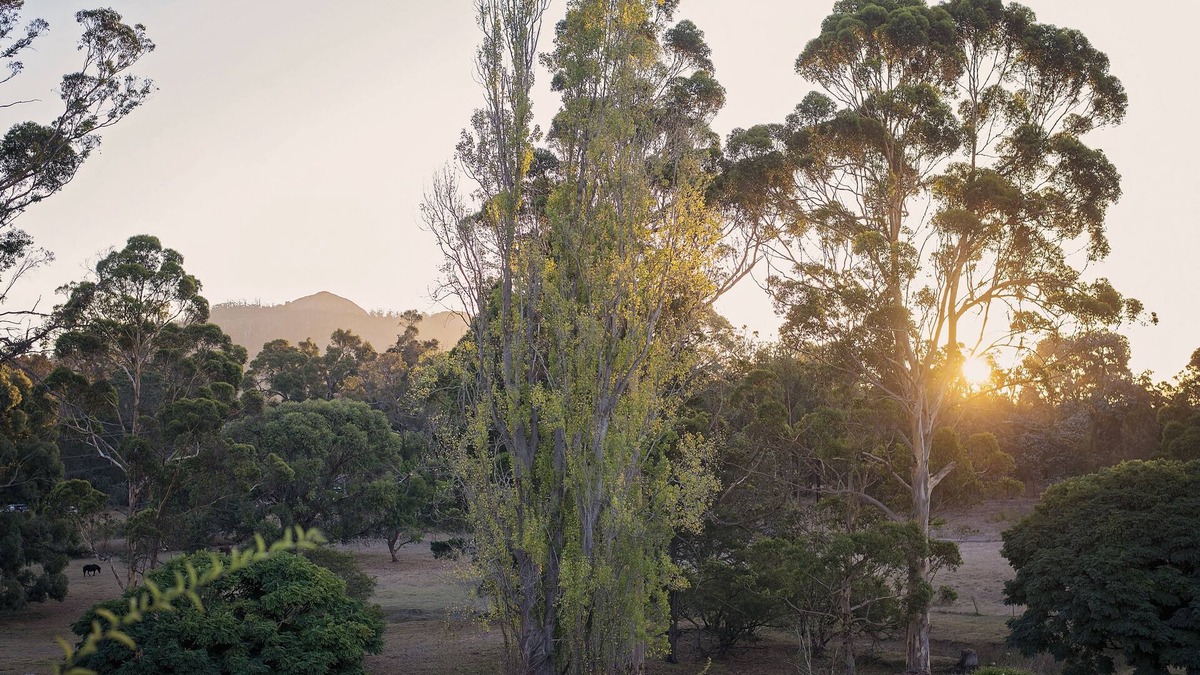 Porongurup Cottage | Karribank