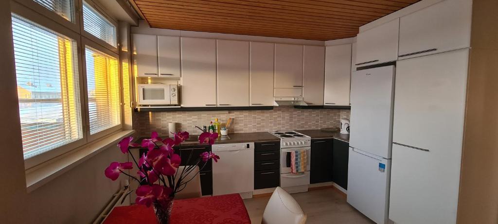Lieksa Apartment | Kattohuoneisto keskustassa