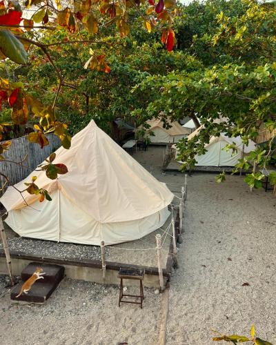 Lobo Other | KAWAI Beach Camp