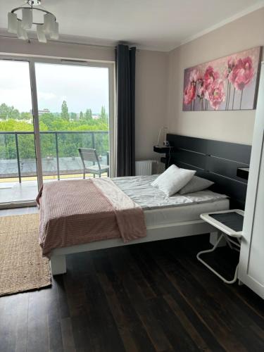 Torun Apartment | Kawalerka na Targowej