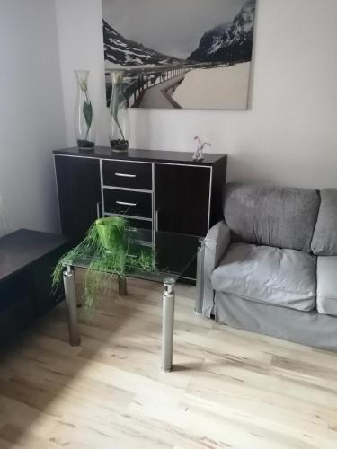 Stargard Szczecinski Apartment | Kawalerka w centrum Stargardu