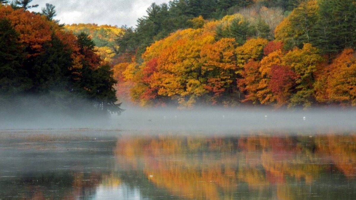 Westbrook House | Kayak, swim, fish, walk to restaurants, breweries, 19 min to Old Port