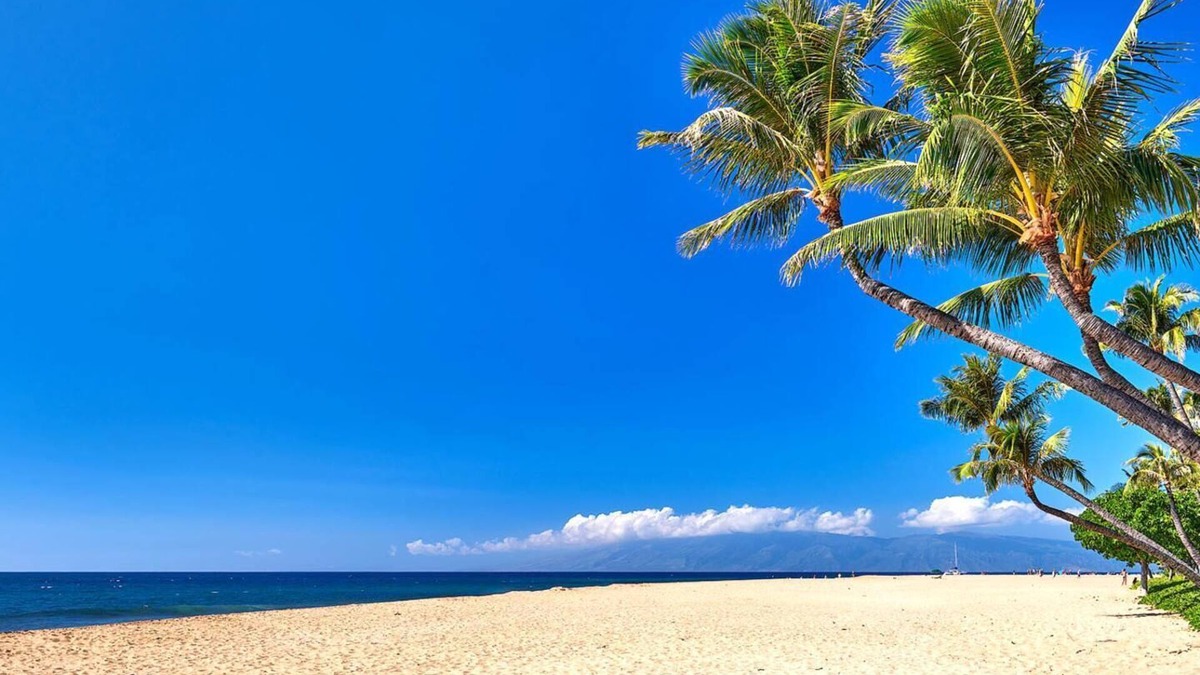 Honokowai Condo | KBM Resorts | Spacious 3-Bedroom Honua Kai Collection | Multi Unit Listing | Same Floor | Ocean Views + 2 Free Rental Cars! HKK-816/20