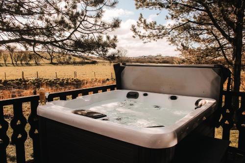 Warton Cabin | Keer Side Lodge, Luxury lodge with private hot tub at Pine Lake Resort