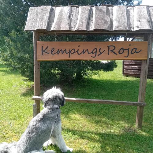 Roja Other | Kempings Roja - TELTS vietas