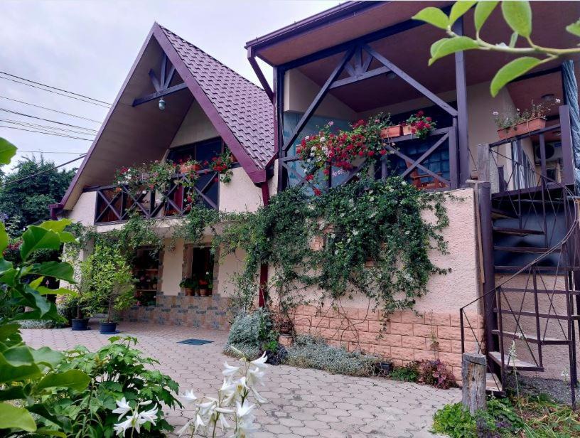 Tsinandali House | Kera