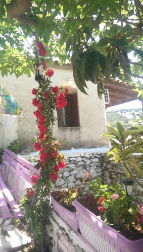 Karystos House | Kerry's Evia Island House