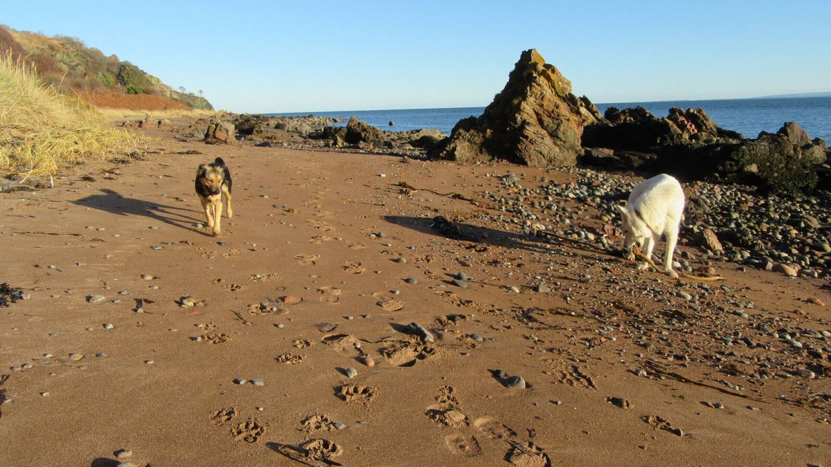 Fortrose Cottage | Kestrel, Longhouse Cottages