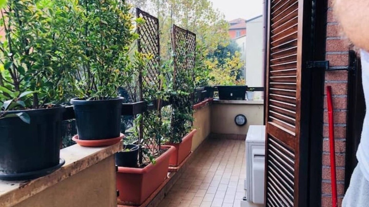 Monza House | Ketty House B&B - Monza Polyclinic, U-Power Stadium