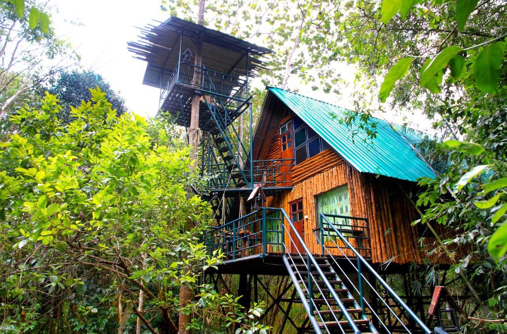Khlong Sok Resort | Khao Sok Tree House Resort