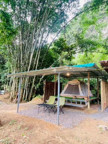 Khlong Sok Bed & Breakfast | Khaosok Mysterious Restaurant and Camp ร้านลึกลับริมคลอง