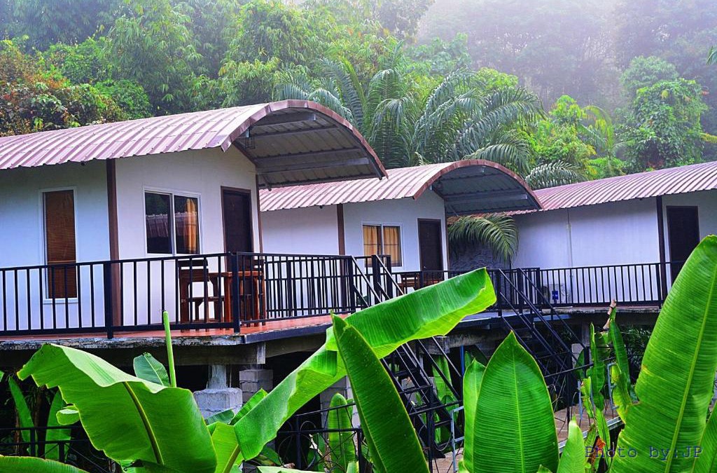 Khlong Sok Other | Khaosok River Camp
