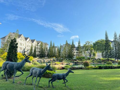 Nong Nam Daeng Apartment | Khaoyai Tiew Khao Family Room 2to4 People B02