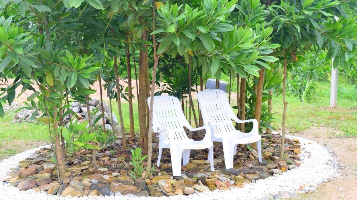 Tha Mai Hotel | Khowbuysi View Resort