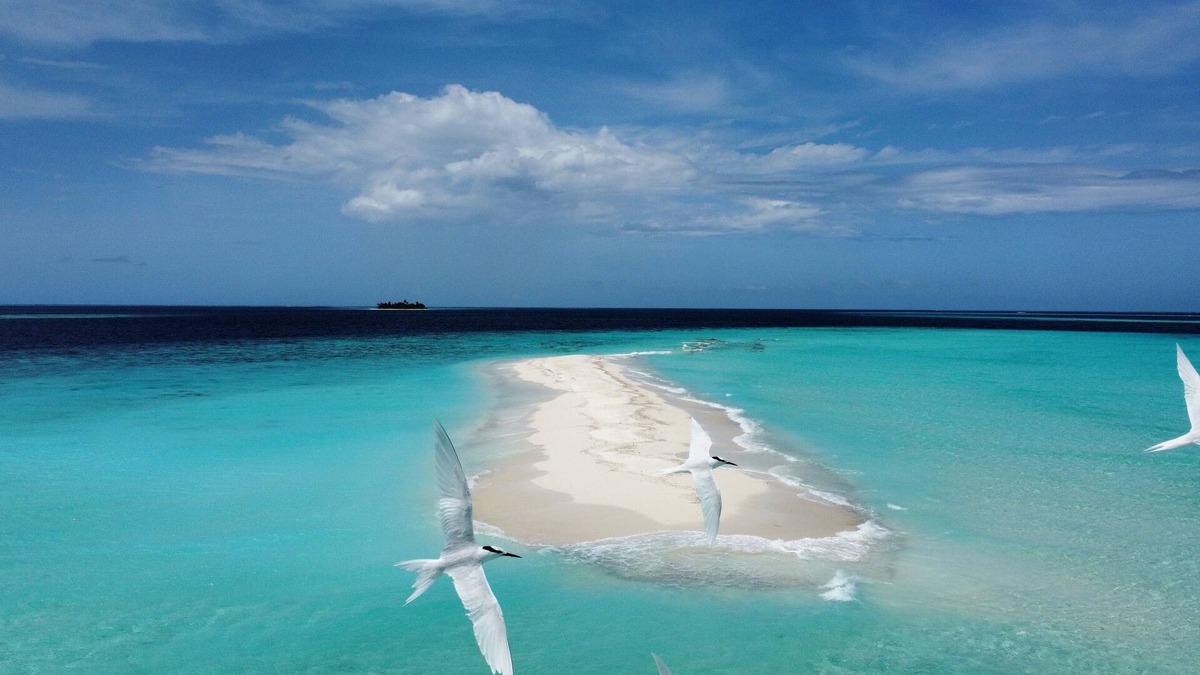 Baa Atoll House | Kihaa Holiday Home