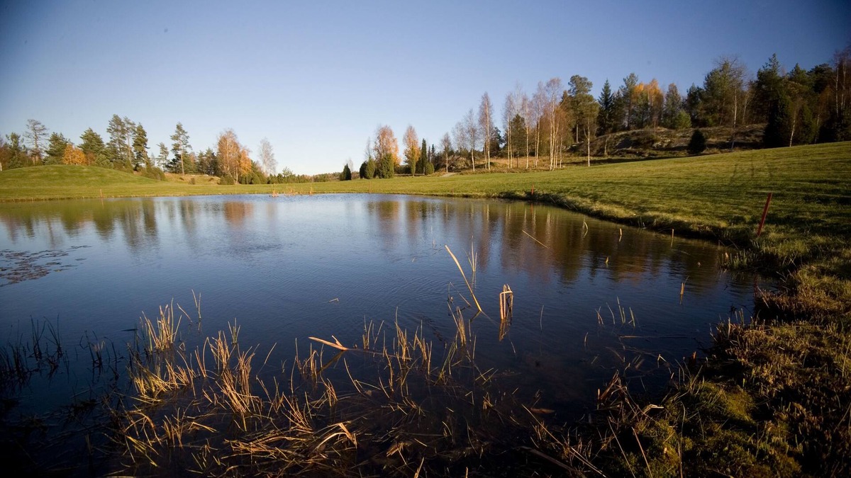 Nykoping Cottage | Kiladalens golf & Lodge