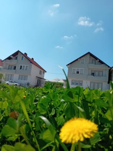 Korishë House | KilicHouse