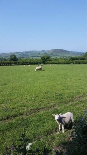 Cushendall Bed & Breakfast | Killoughagh House