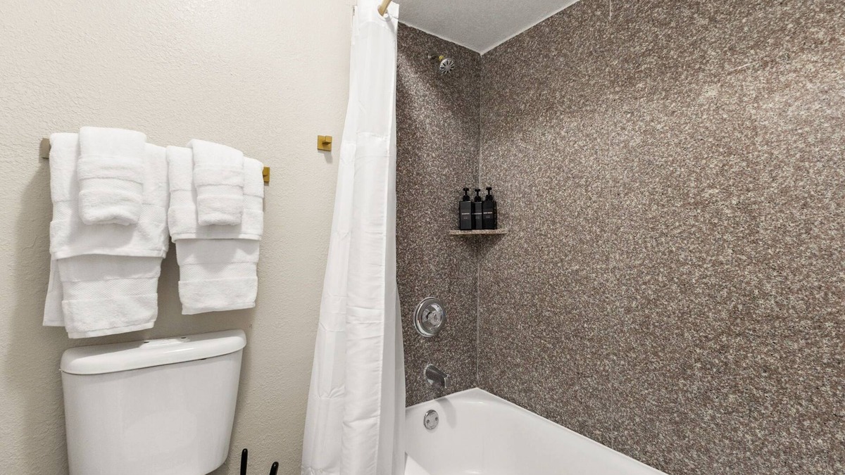 Medical Center District Apartment | King Bed; San Antonio near Aiport; Pool; Near medical center