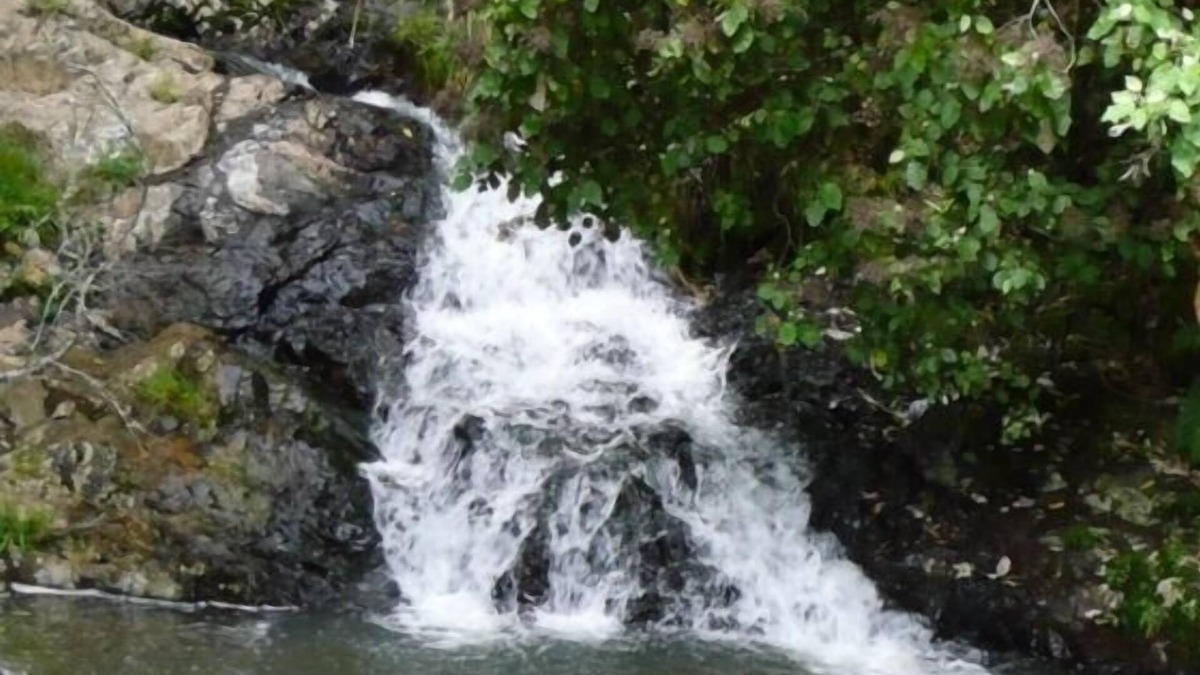 Ngaruawahia Other | Kings Ridge Cottage. Peaceful and Relaxing