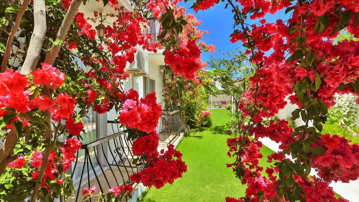 Cesme Hotel | Kiraz Otel