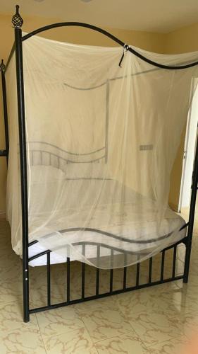 St. Louis Bed & Breakfast | Kitokina Résidence