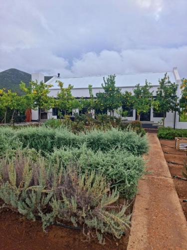 Langeberg Apartment | Klawerjas Flute Cottage