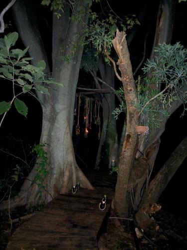 Rustenburg House | Klein Eden Forest
