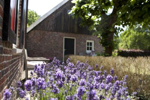 Municipality of Haaksbergen House | klein Wolterinck