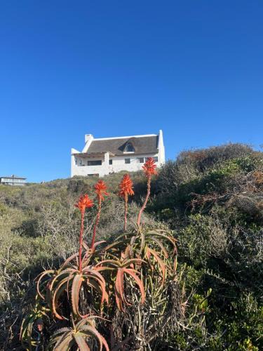 Boggoms Bay Villa | Kleinbos Beach Villa