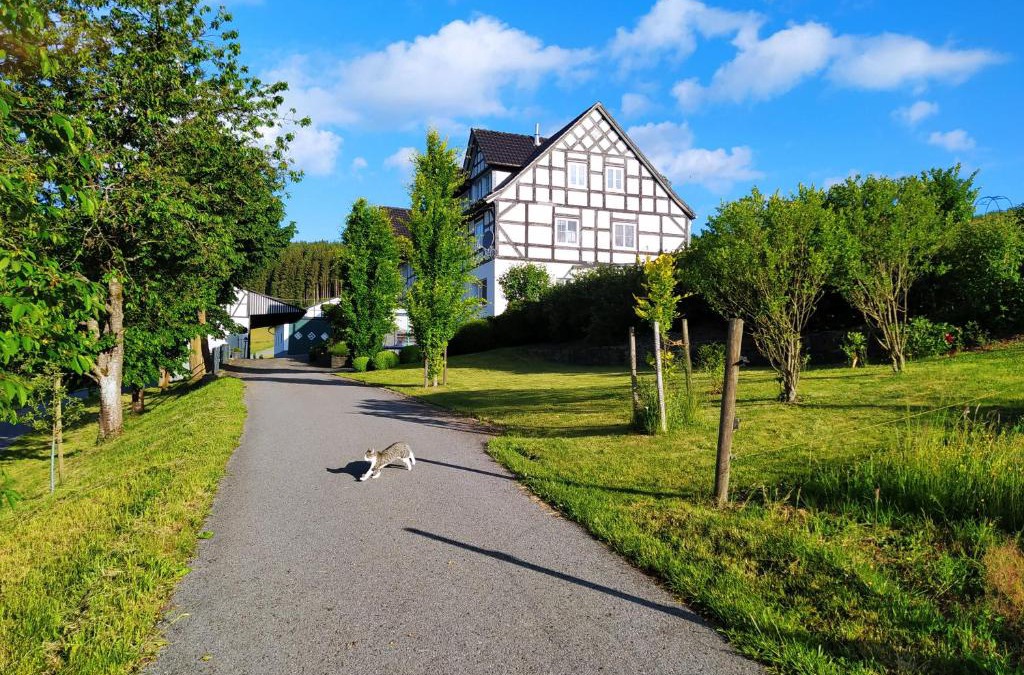 Niederlandenbeck Apartment | kleine AusZeit
