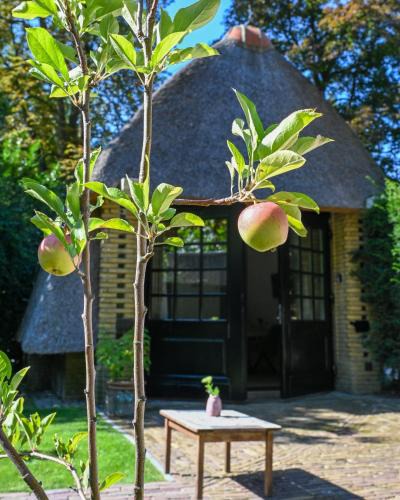 Municipality of Zutphen Bed & Breakfast | Kleine Buur