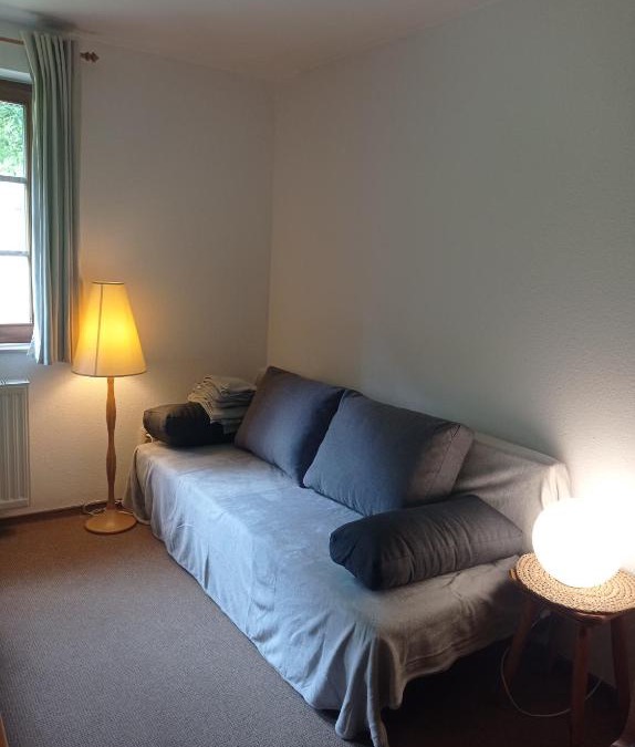 Todtnau Apartment | Kleine, familienfreundliche 1-Zi FeWo am Bach und zwischen zwei Seen