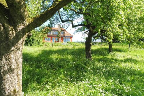 Rodt House | Kleine Villa im wilden Garten