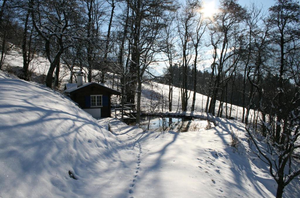 Bartholomaeberg Apartment | Kleines Paradies Montafon