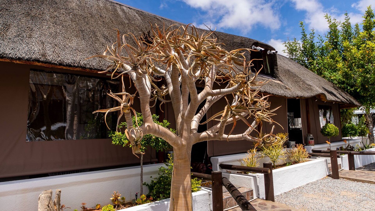 Springbok House | Kleinplasie Guesthouse