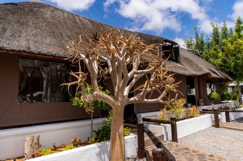 Springbok House | Kleinplasie Guesthouse
