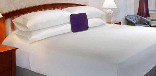 Somerset Hotel | Knights Inn Somerset