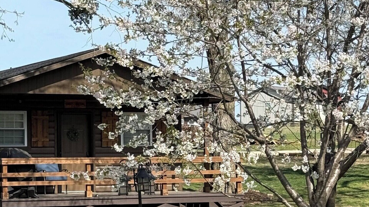 Cleora Cabin | Knots Landing - A romantic getaway