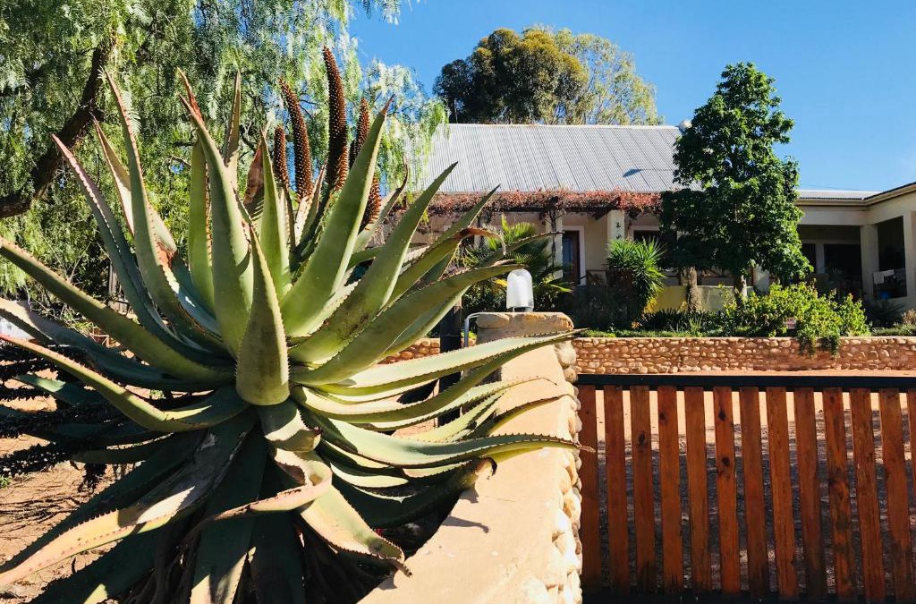 Ladismith House | Koedoeskloof Guesthouse