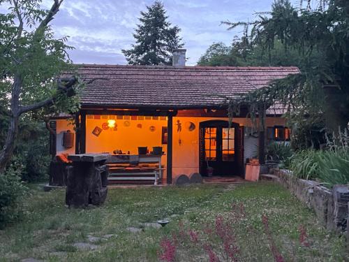 Raposka House | Kofal Pince 1