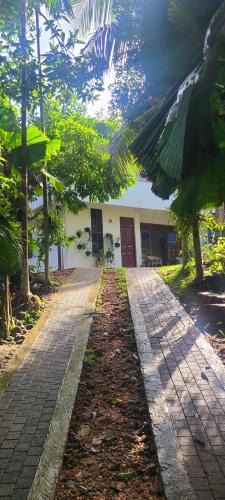 Ruwanwella Apartment | 'Kolamba Gedara' green apartment