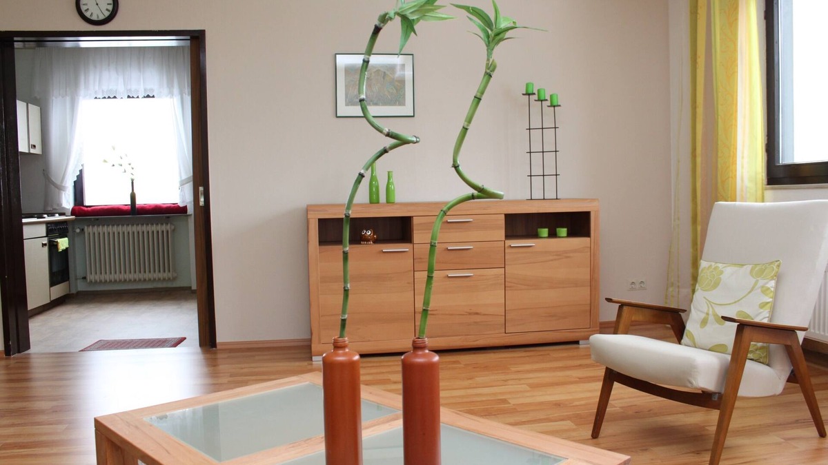 Schwarzenbach an der Saale Apartment | Komfortable 4* Ferienwohnung (80qm) mit großer Dachterrasse, kostenfreies WLAN