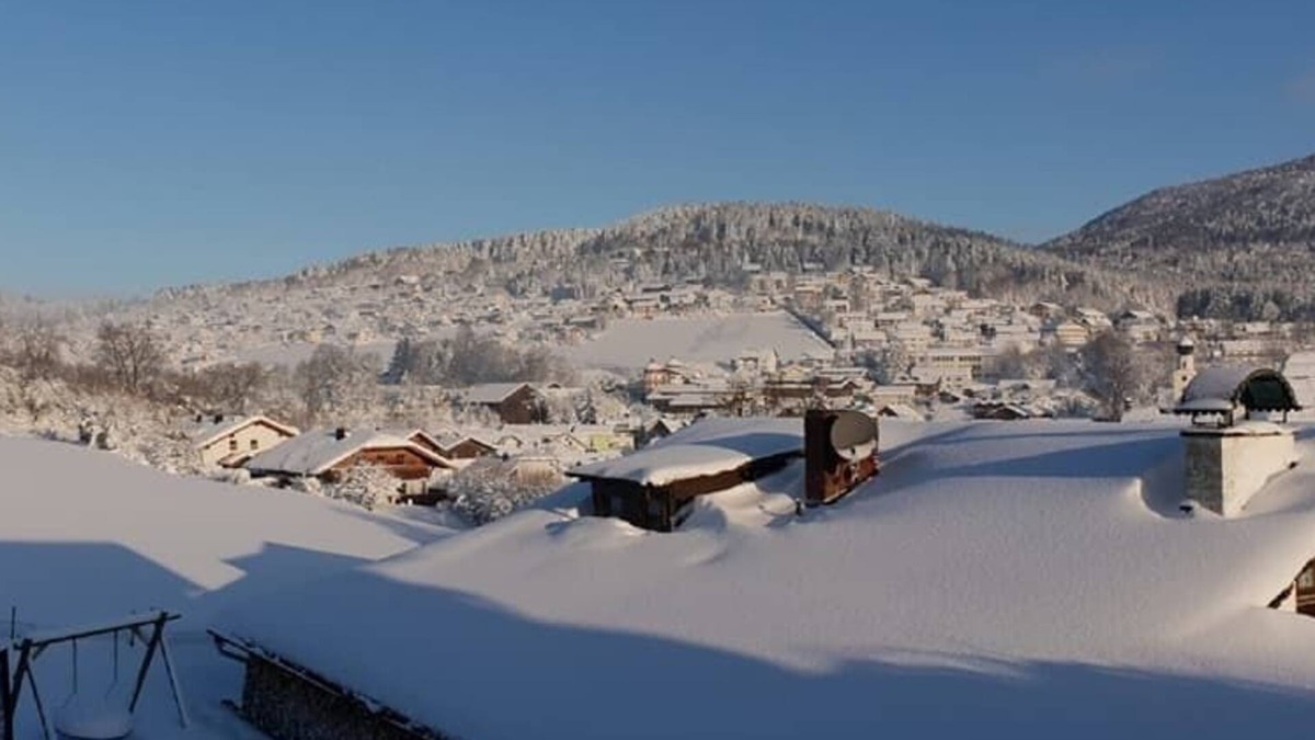 Rimbach Apartment | Komfortable Fewo mit herrlichem Blick zu den Gipfeln des Bayerischen Waldes
